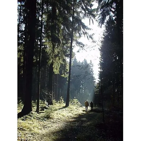 To The Old Forge * Artstetten